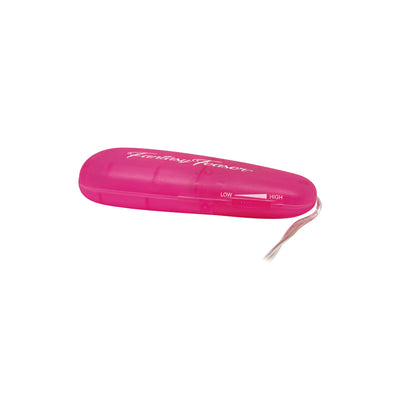 Fantasy Teaser Silver/Pink Egg Vibrator