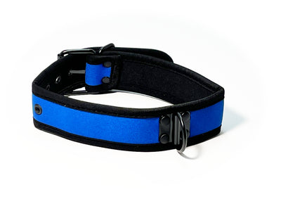 Adjustable Neoprene Collar with D-Ring by Fetish Pleasure Play in Blue and Black