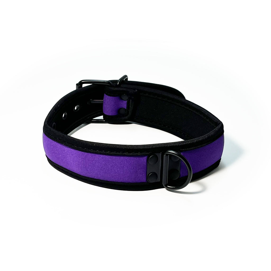 Adjustable Neoprene Collar with D-Ring by Fetish Pleasure Play in Purple