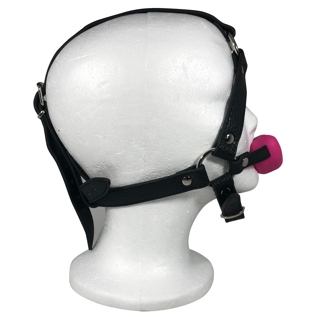 Fetish Pleasure Play Full Head Harness w/Heart Ball Gag