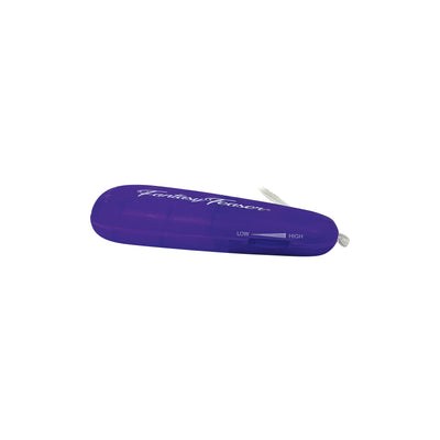 Fantasy Teaser Silver/Purple Egg Vibrator
