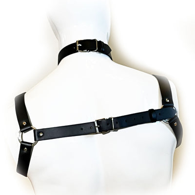 Suspender Strap, Collar and Half Chest Harness by Fetish Pleasure Play in Black