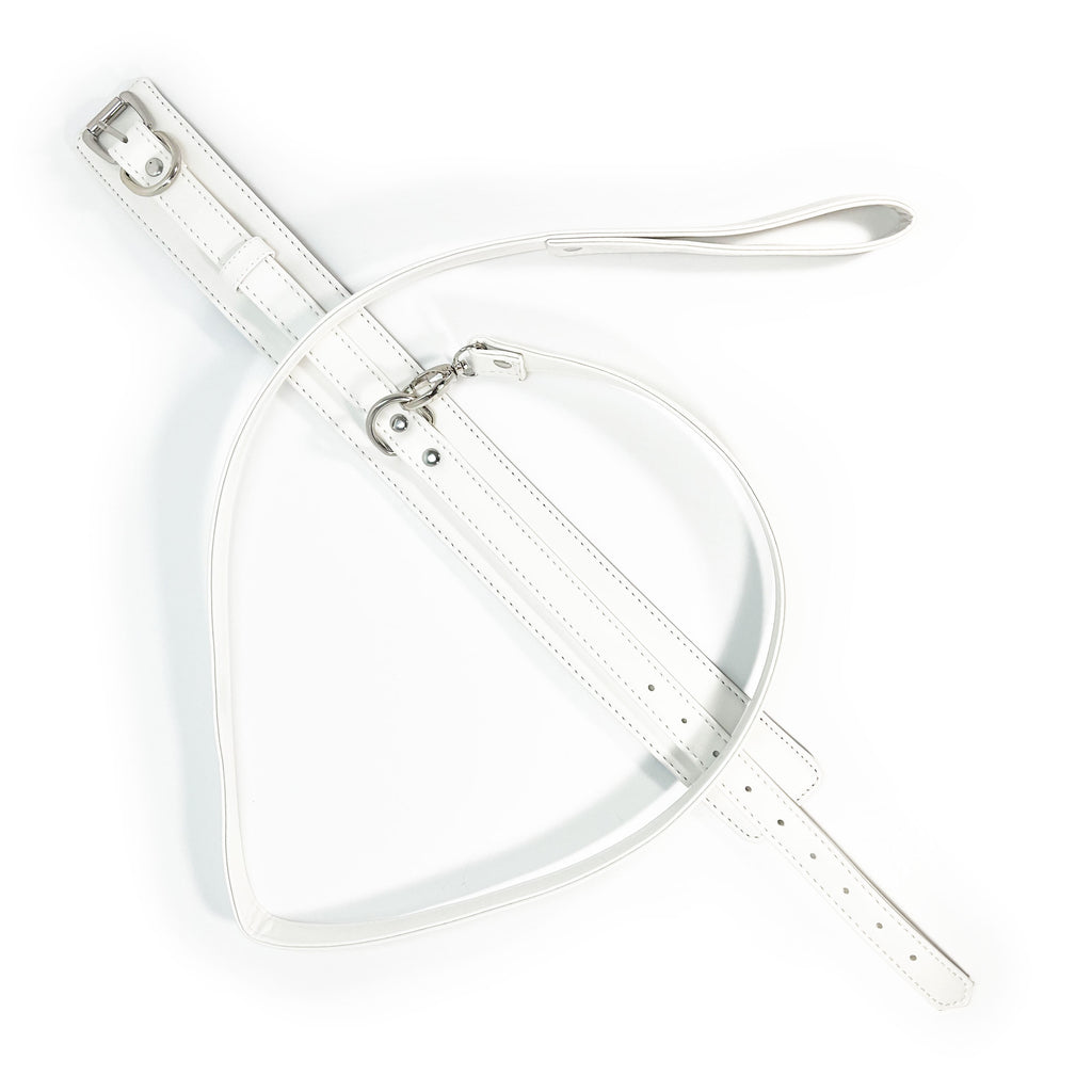 Faux Leather Collar and Leash Set by Fetish Pleasure Play in White