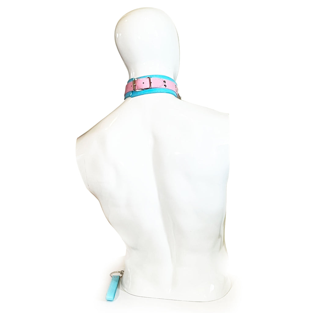 Two-Toned Collar with Chain Leash Set by Fetish Pleasure Play in Pink and Teal