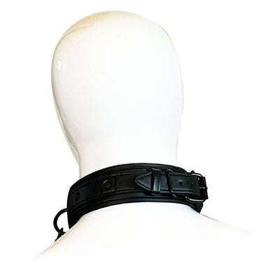 Faux Leather and Neoprene Collar and Chain Leash by Fetish Pleasure Play in Black and Pink
