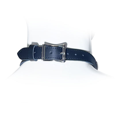 Adjustable Choke Collar with Heart Chain Accent by Fetish Pleasure Play in Black