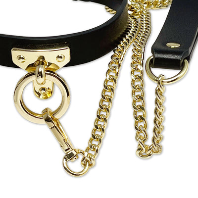 Black and Gold Collar and Leash Set by Fetish Pleasure Play