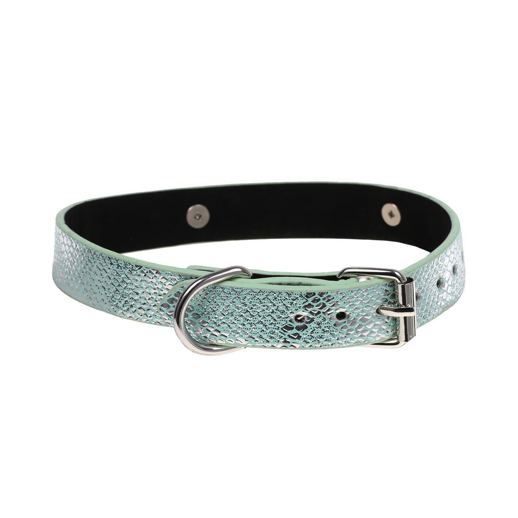 Blue-Green Snakeskin Collar with Shuriken Star Pendant by Fetish Pleasure Play