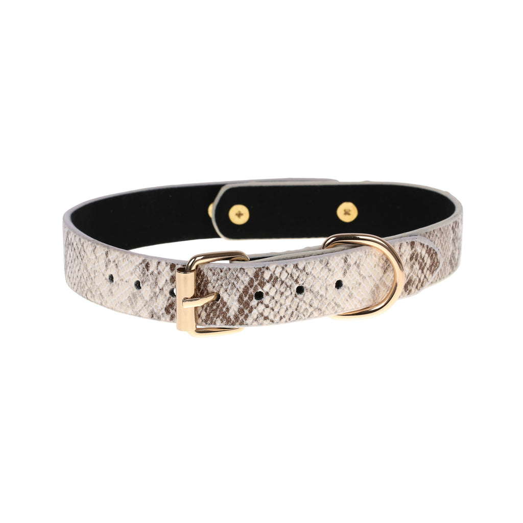 White Faux Snakeskin Clasp Collar by Fetish Pleasure Play