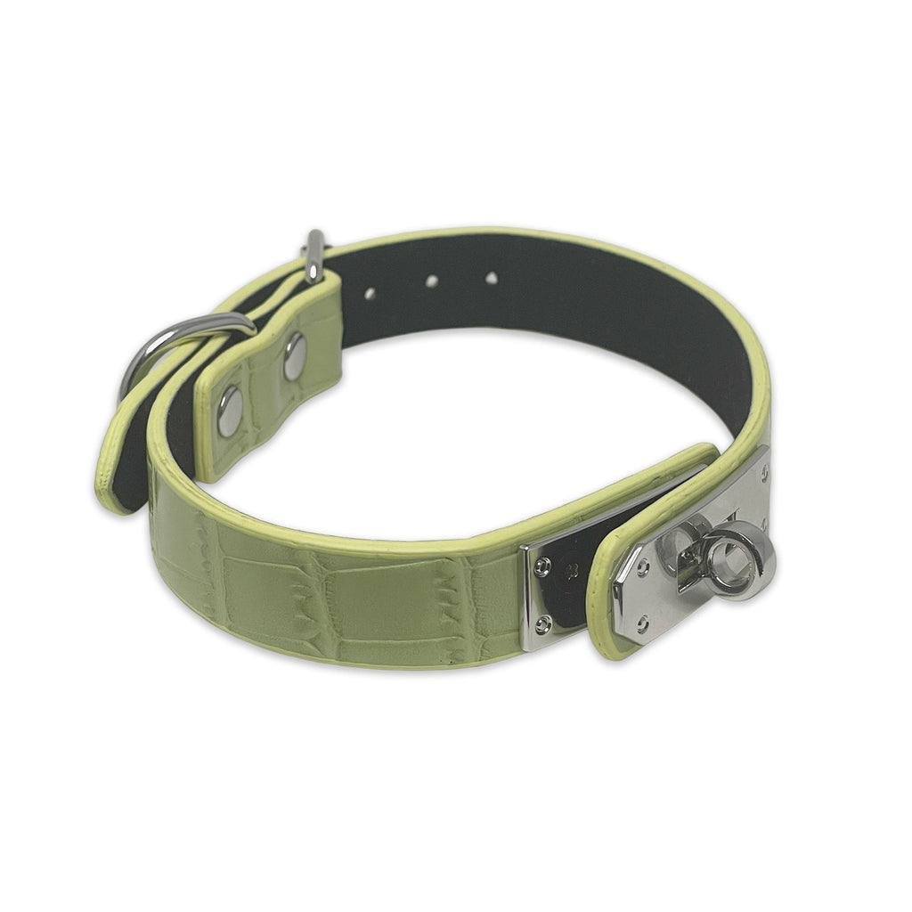 Green Faux Alligator Skin Clasp Collar by Fetish Pleasure Play