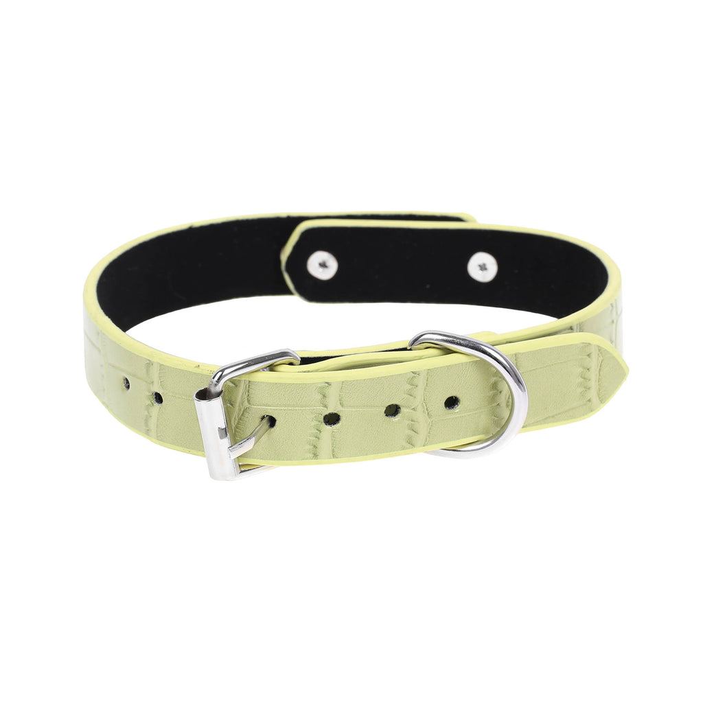 Green Faux Alligator Skin Clasp Collar by Fetish Pleasure Play