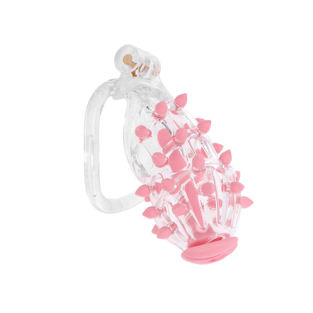Studly Clear Sissy Chastity Cage with Plug by Fetish Pleasure Play