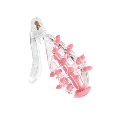 Studly Clear Sissy Chastity Cage with Plug by Fetish Pleasure Play
