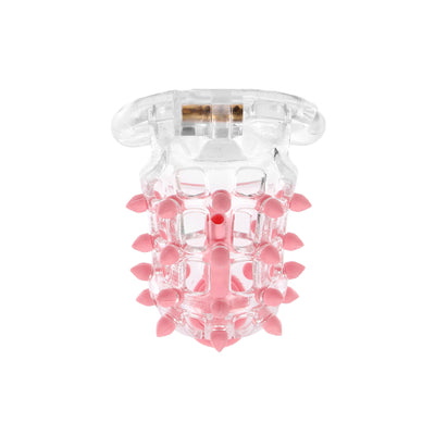 Studly Clear Sissy Chastity Cage with Plug by Fetish Pleasure Play