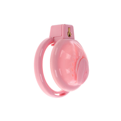 Pink Pussy Sissy Chastity Case with Plug by Fetish Pleasure Play