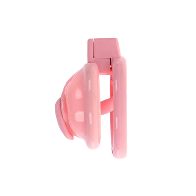 Pink Pussy Sissy Chastity Case with Plug by Fetish Pleasure Play