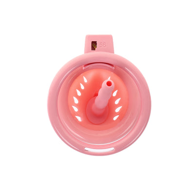 Pink Pussy Sissy Chastity Case with Plug by Fetish Pleasure Play