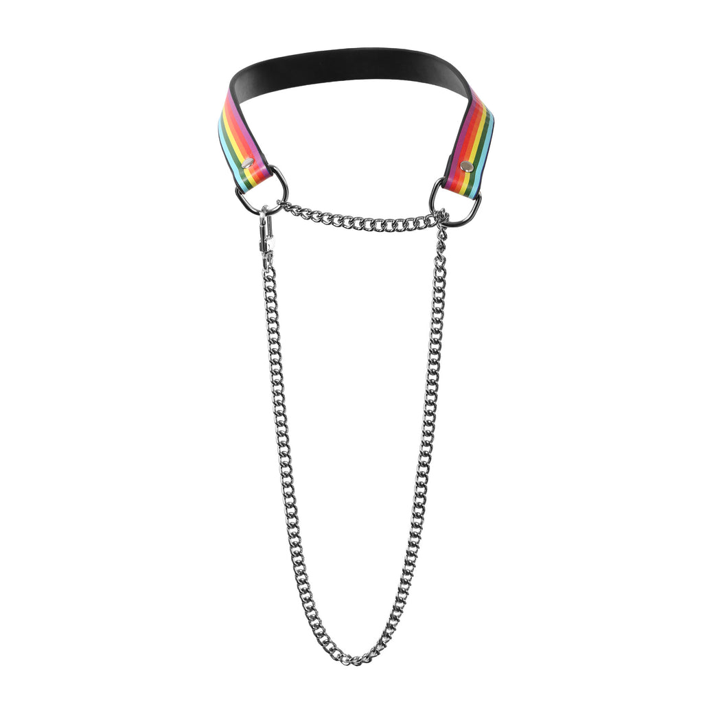 Pride Choker Collar and Leash by Fetish Pleasure Play, Black, Large