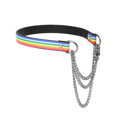 Pride Martingale Collar Choker by Fetish Pleasure Play, Black, Medium