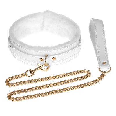 White collar and leash with gold chain strap on a white background