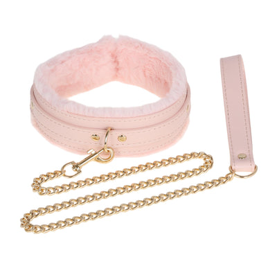 Pink collar with gold chain and pink leash on a white background