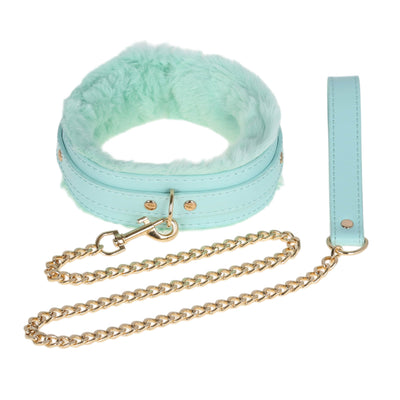 Turquoise collar and leash set with gold chain on a white background