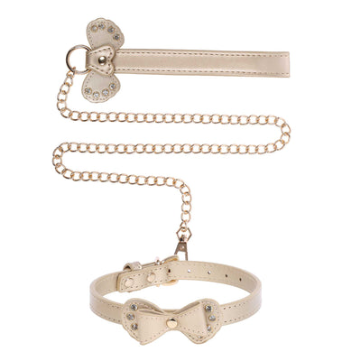 Gold leather bow collar with chain and Leash on a white background
