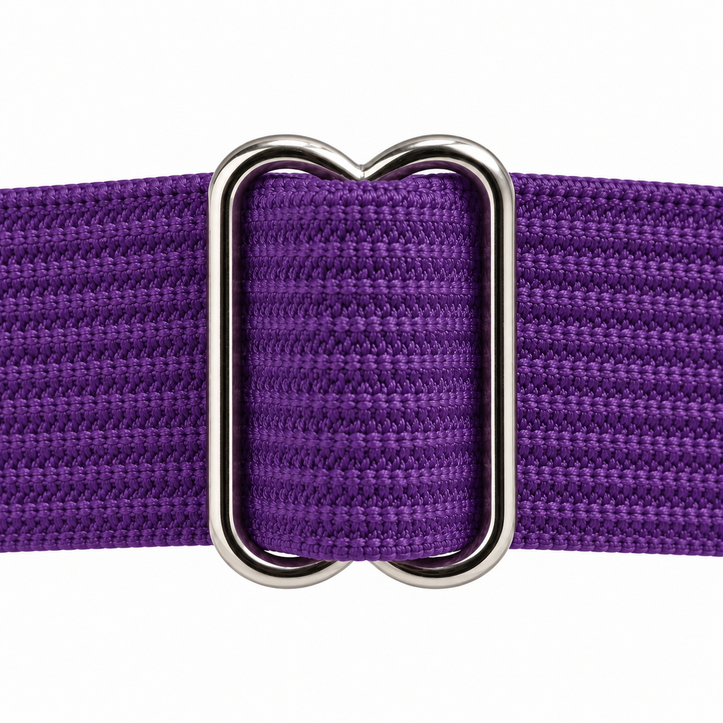Pentagram Garter with Stocking Clips, Purple & Silver, 2-Pack