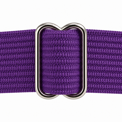 Pentagram Garter with Stocking Clips, Purple & Silver, 2-Pack