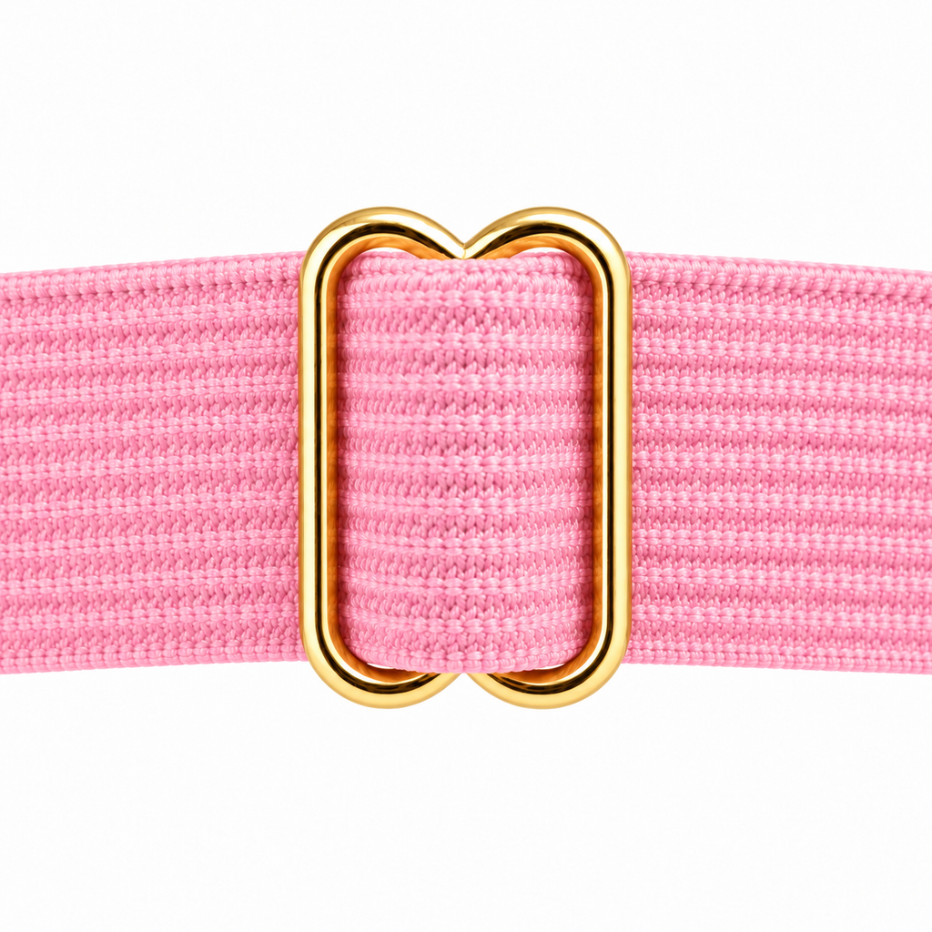 Spiked Heart Garter with Stocking Clips, Pink & Gold, 2-Pack