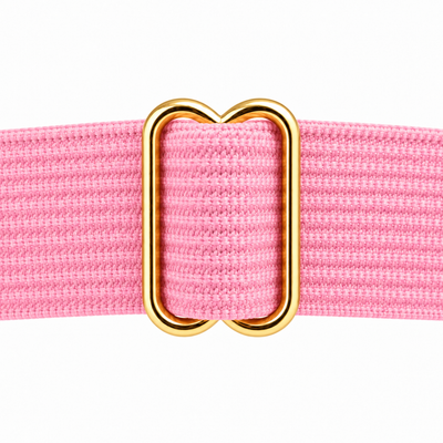 Spiked Heart Garter with Stocking Clips, Pink & Gold, 2-Pack