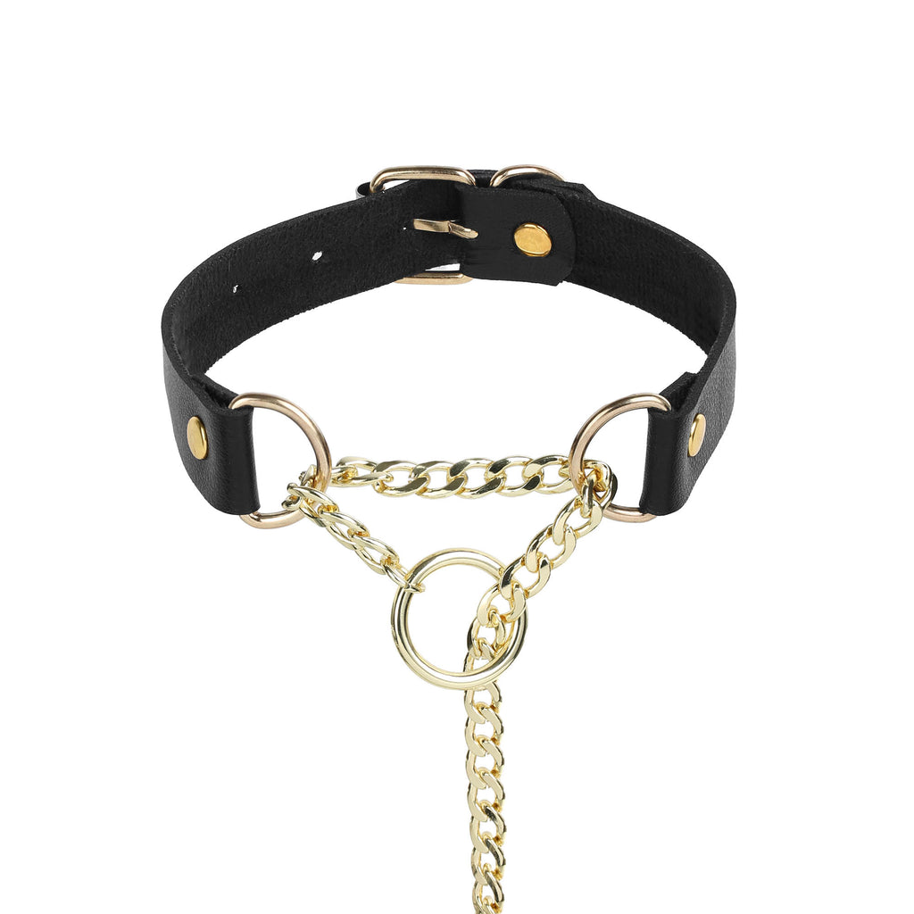 Golden O-Ring Black Leather Martingale Day Collar by LoveLinks