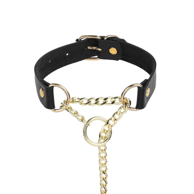 Golden O-Ring Black Leather Martingale Day Collar by LoveLinks