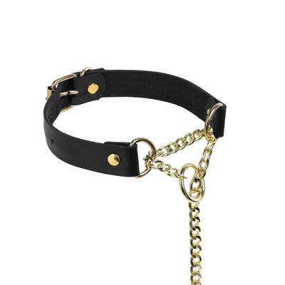 Golden O-Ring Black Leather Martingale Day Collar by LoveLinks