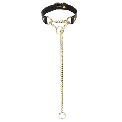 Golden O-Ring Black Leather Martingale Day Collar by LoveLinks