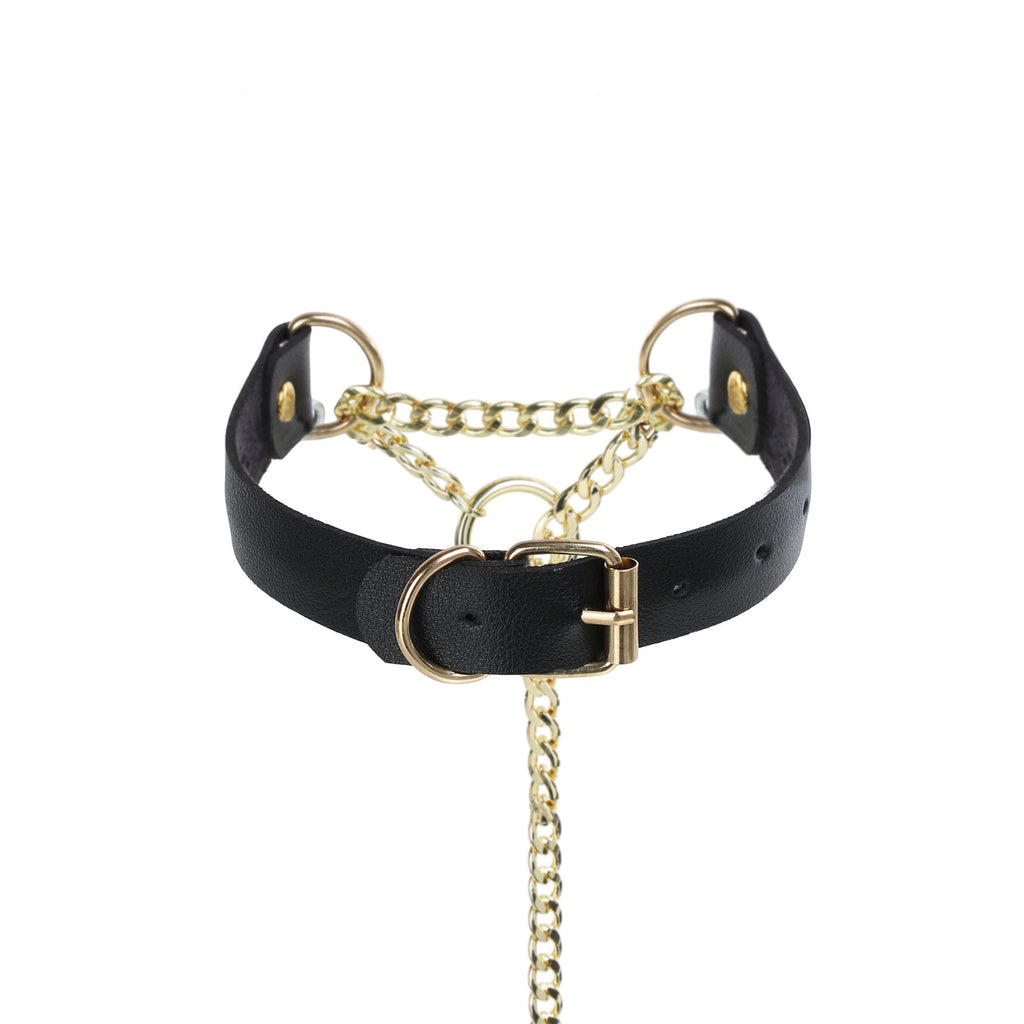 Golden O-Ring Black Leather Martingale Day Collar by LoveLinks
