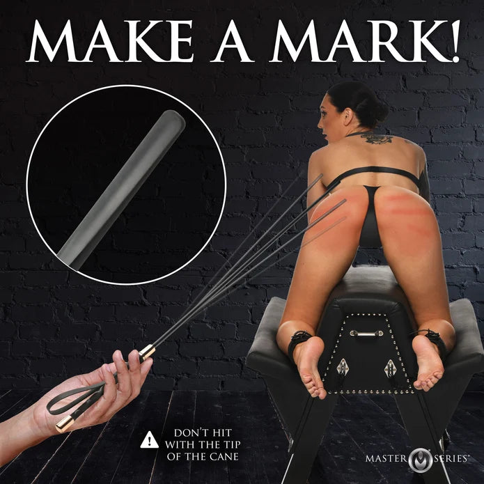Sinful Riding Crop Impact Cane