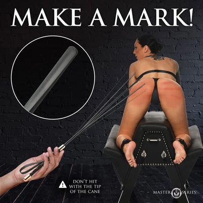Sinful Riding Crop Impact Cane
