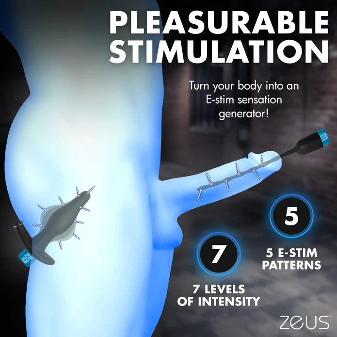 Zeus E-Stim Anal Plug & Urethral Sound Kit