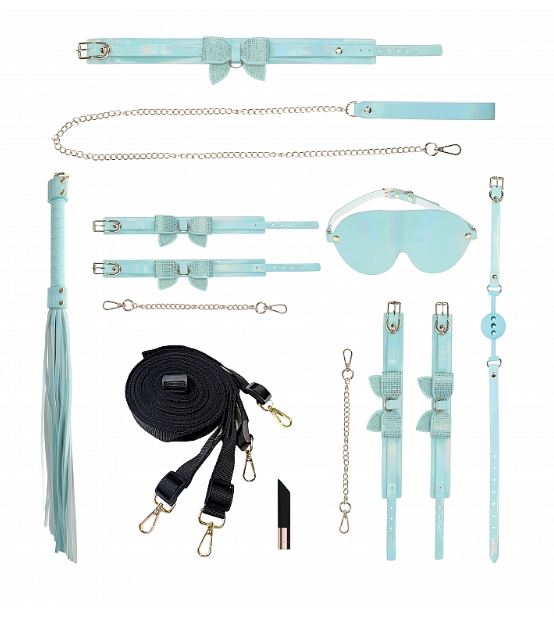 Luxury Traveler Bondage Collection in Iridescent Teal with Bag