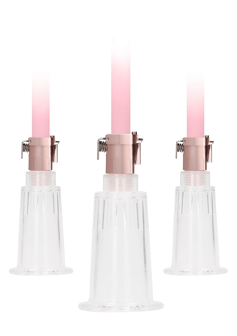 Rechargeable Clitoral & Nipple Pump Set in Pink
