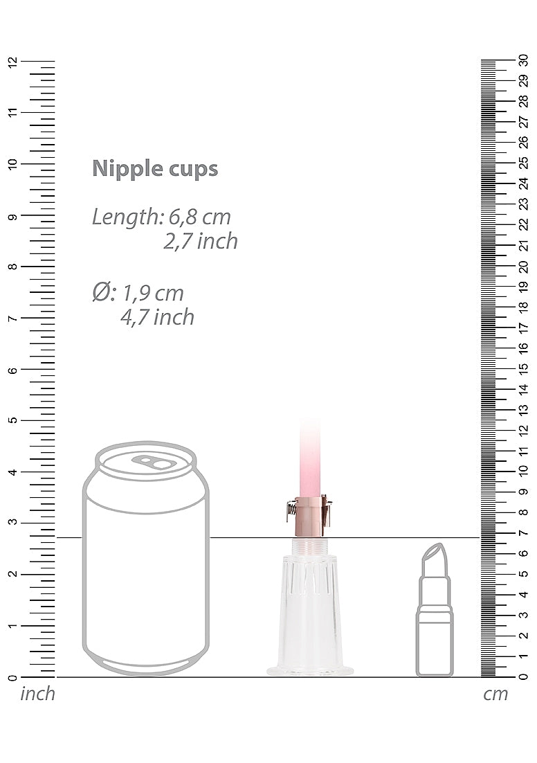 Rechargeable Clitoral & Nipple Pump Set in Pink