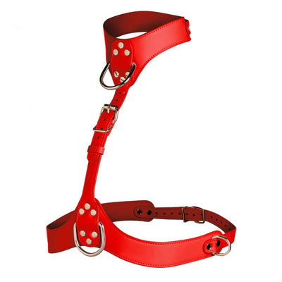 Vixen Female Chest Harness in Red
