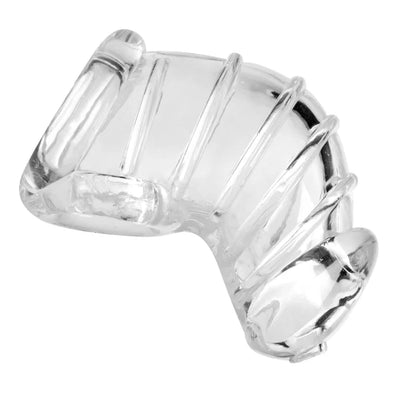 Detained Soft-Body Chastity Cage for Him by Master Series