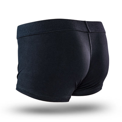 Temptasia Strap-On Harness Briefs - XL